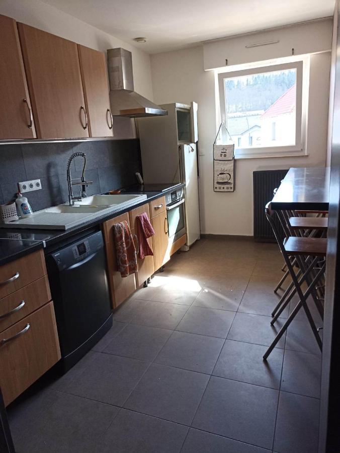 Appartement Gauche Avec Balcon Hargarten-aux-Mines Extérieur photo